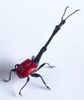 giraffe_weevil.jpg